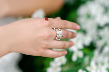 ring and ladybug on the girl's hand