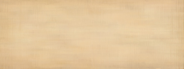 Grunge panoramic scratched texture.