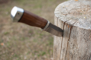 the knife is in the stump