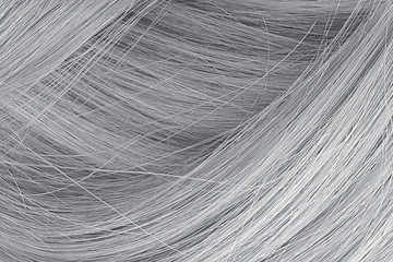 Gray hair as background, texture. One of the popular shades of hair coloring