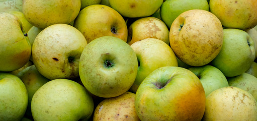 green and yellow apple background