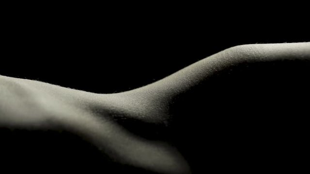 Light and shadows on an abstract female bodyscape