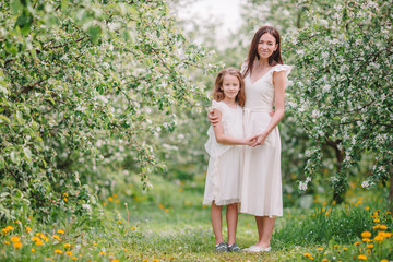 Fototapeta premium Adorable little girl with young mother in blooming cherry garden on beautiful spring day