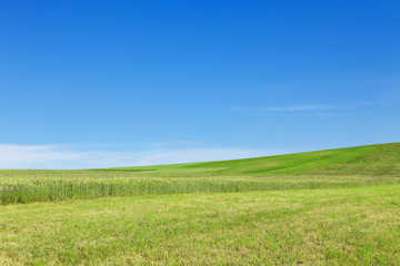 Fototapeta na wymiar Green hill under blue sky. Ecology banner.