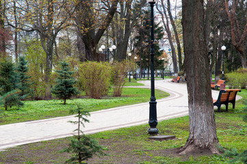 Naklejka premium places of rest in parks and open squares in spring on a bright day with light green grass
