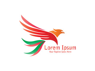 Abstract And Unique eagle vector design template. An exotic bird on white background 