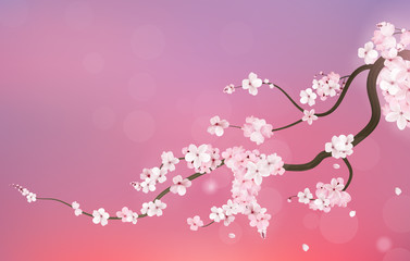 Realistic sakura japan cherry branch