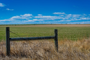 fence in a field