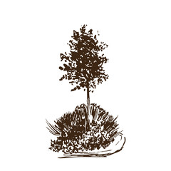 Tree sketch.Vintage illustration, engraved style. Hand drawn ink