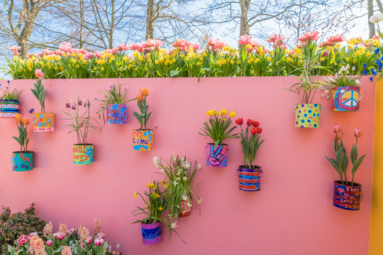 Tulipes Keukenhof