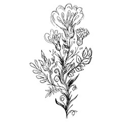 Engraved Hand Drawn Illustration Of Abstract Flowers Isolated on White. Hand Drawn Sketch of a Flower