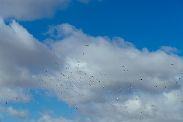 blue sky with clouds