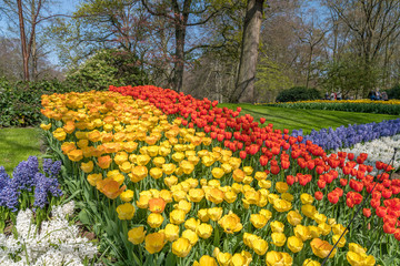 Tulipes Keukenhof
