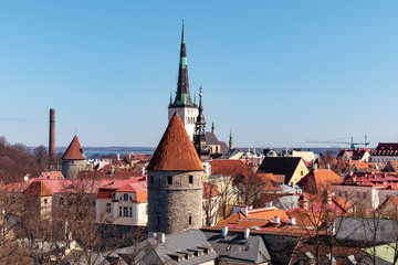 Obraz premium Old Town Tallinn