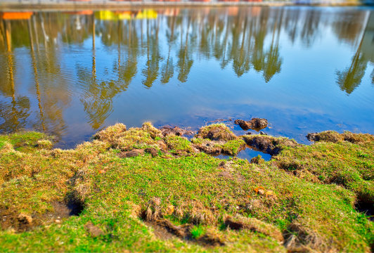 River beach: green moss landscape background hd