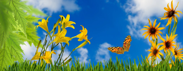 Fototapeta na wymiar image of flowers and butterflies in the garden