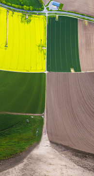hanging fields yellow and green