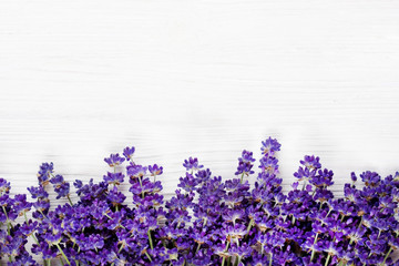 Natural background with lavender flowers