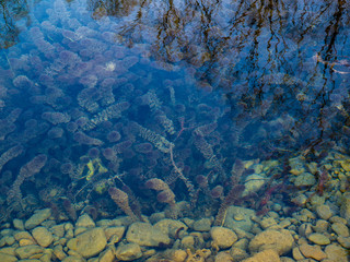 rock bottom seen through clear water in mountain lake