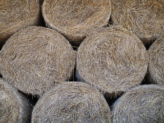 Bales of hay, straw rollers, close up of stacked bales of hay