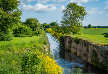 landscape with river and trees