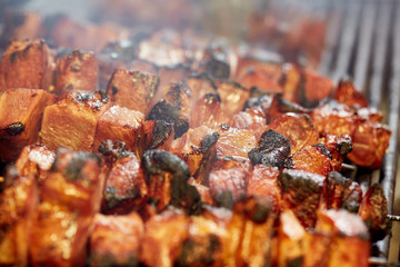 Meat skewers on the grill