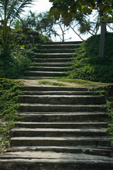 Ladder from a tree on a mountain to the sky