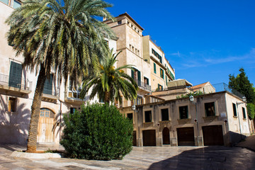 Fototapeta na wymiar Beautiful old spanish yard with palm trees inside and blue sky above in sunny summer day in Palma de Mallorca, Spain. Mediterranean old architecture spanish style.