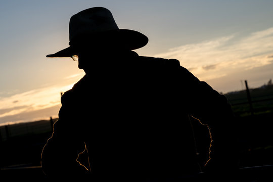 Silhouette of a cowboy on a ranch