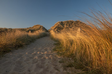 Strand Übergang in schöner Dünen Landschaft
