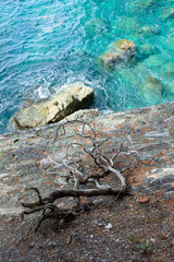 Romo secco su una scogliera a picco sul mare trasparente