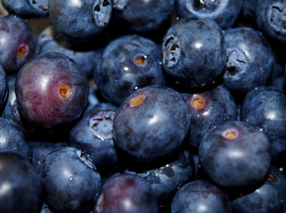 Heidelbeeren