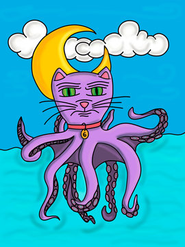 Octopus cat
