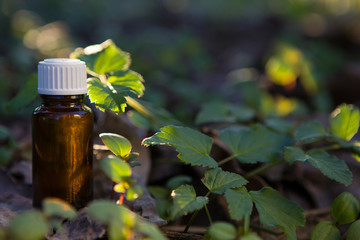 Essential oil in glass, brown bottle.