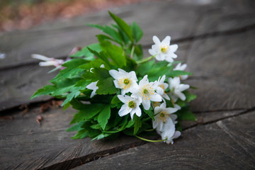 Fototapeta na wymiar Bouquet of wild white flowers on rustic wooden table in a forest