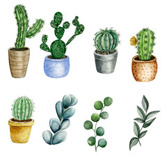  Watercolor illustration, frame and composition of cacti and succulents