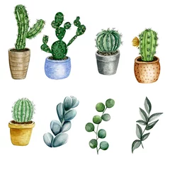 Foto op Plexiglas Cactus in pot Aquarelillustratie, frame en samenstelling van cactussen en vetplanten