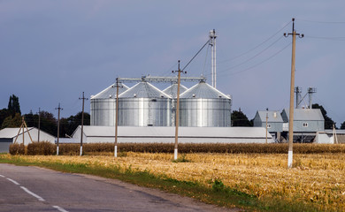 Fototapeta na wymiar Road and field with mowed corn in front of elevator for grain storage.