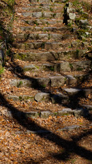 Escalier en pierre