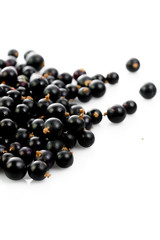 Black currant isolated on white