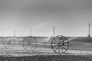Fototapeta na wymiar large wheels with sprinklers for irrigation in the field