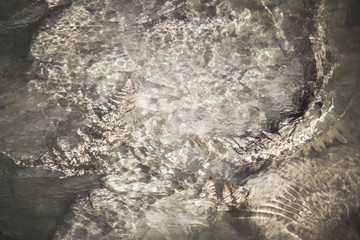 Rotorua geothermal park in New Zealand