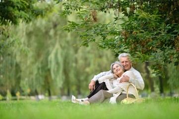 Naklejka na ściany i meble Portrait of loving elderly couple having a picnic in the summer