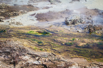 Obraz na płótnie Canvas Rotorua geothermal park in New Zealand