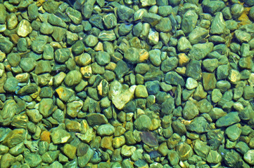 greenly underwater stones