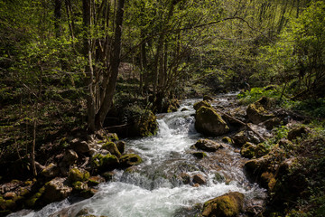 Fototapeta premium small mountain stream