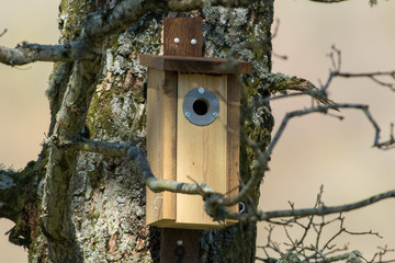 Birdhouse in a closeup
