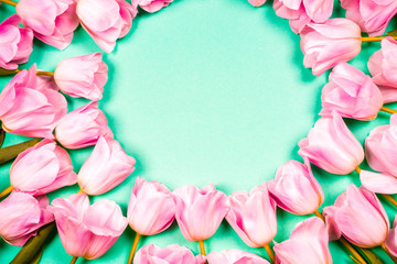 spring flowers banner - bunch of pink tulip flowersbright colorful background.