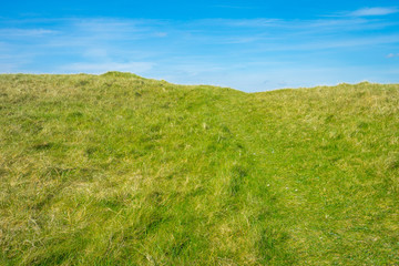 paysage avec colline verdoyante sur fond de ciel bleu