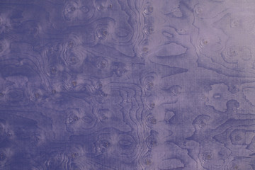 Texture of Blue Painted Wood